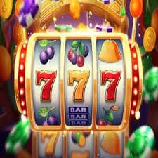 win24